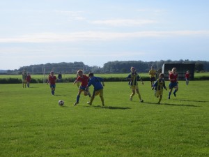 IMG_8574